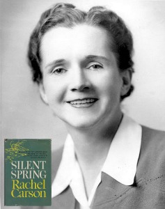 Rachel Carson, author of Silent Spring