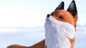 International Children's Film Fest
