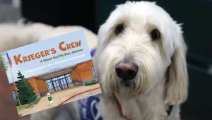 A goldendoodle